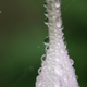 Image for article titled Refraction Shooting Challenge Gallery 1